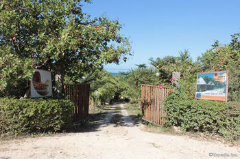 Cashew Grove Beach Resort Бусуанга Экстерьер фото